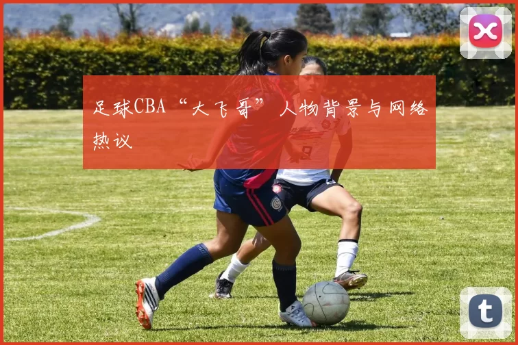 足球CBA“大飞哥”人物背景与网络热议