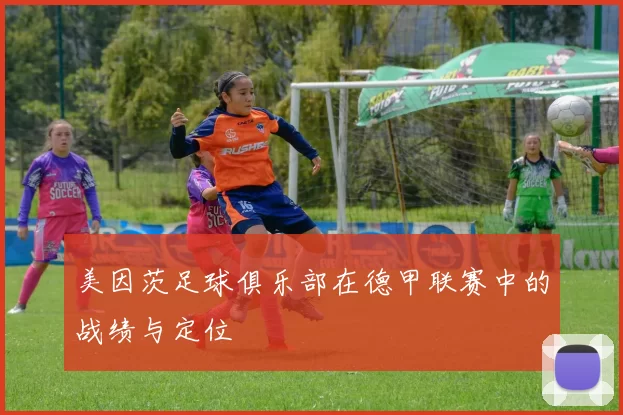 美因茨足球俱乐部在德甲联赛中的战绩与定位