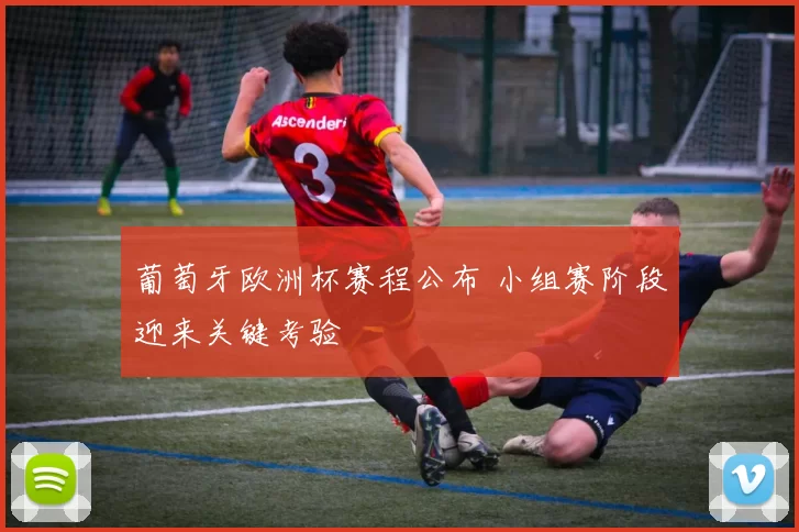 葡萄牙欧洲杯赛程公布 小组赛阶段迎来关键考验