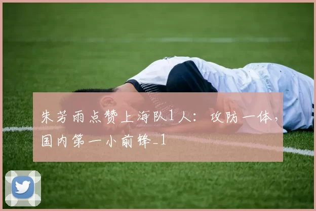 朱芳雨点赞上海队1人：攻防一体，国内第一小前锋_1
