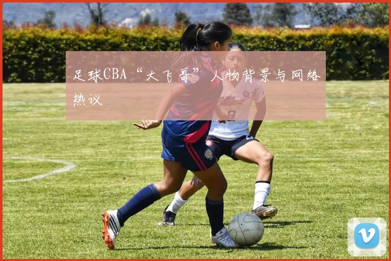 足球CBA“大飞哥”人物背景与网络热议