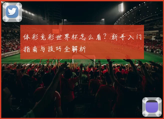 体彩竞彩世界杯怎么看？新手入门指南与技巧全解析