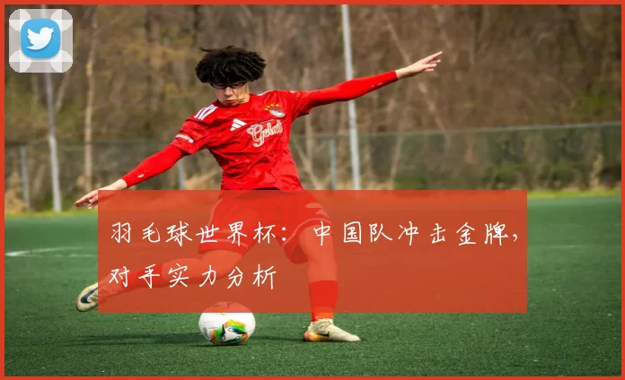 羽毛球世界杯：中国队冲击金牌，对手实力分析