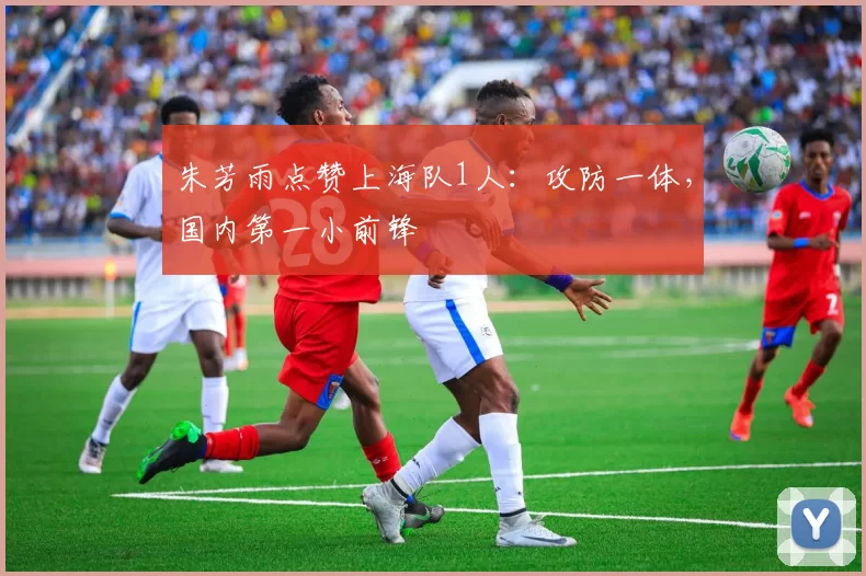 朱芳雨点赞上海队1人：攻防一体，国内第一小前锋