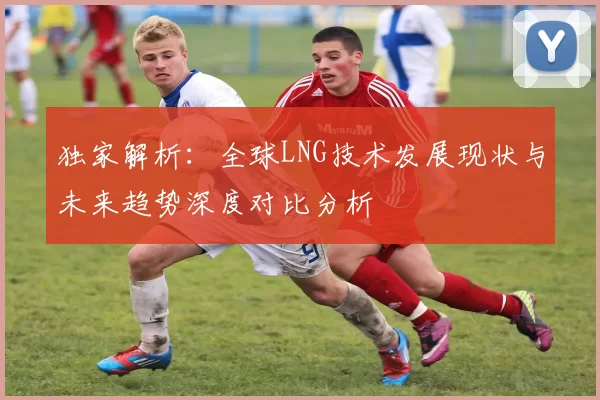 独家解析：全球LNG技术发展现状与未来趋势深度对比分析
