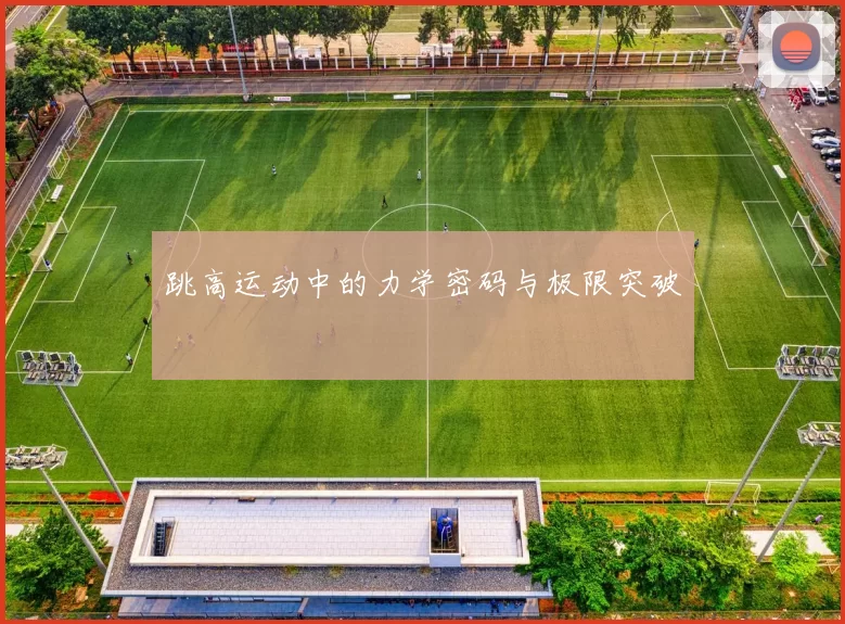 跳高运动中的力学密码与极限突破