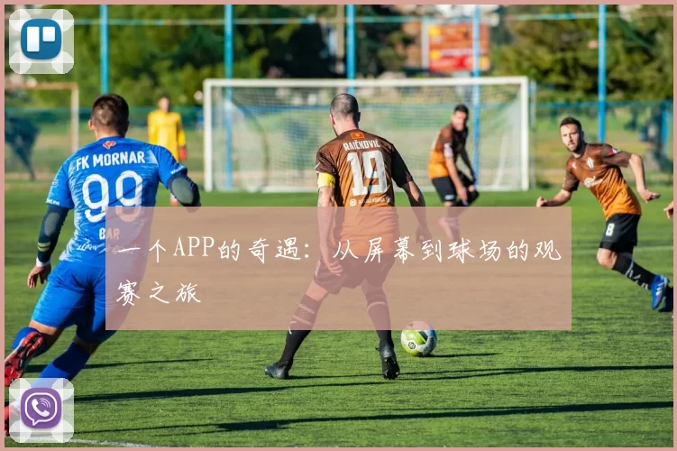 一个APP的奇遇：从屏幕到球场的观赛之旅